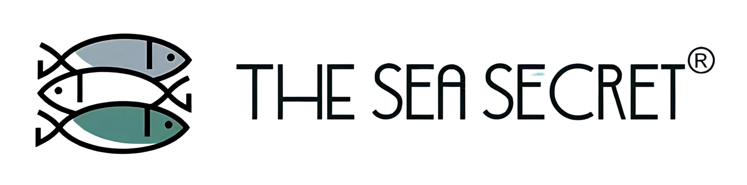 The Sea Secret